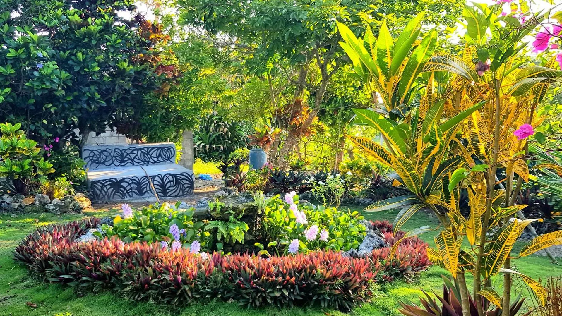 Affittacamere Coyaba Private Hilltop Jungle Retreat Orange Bay