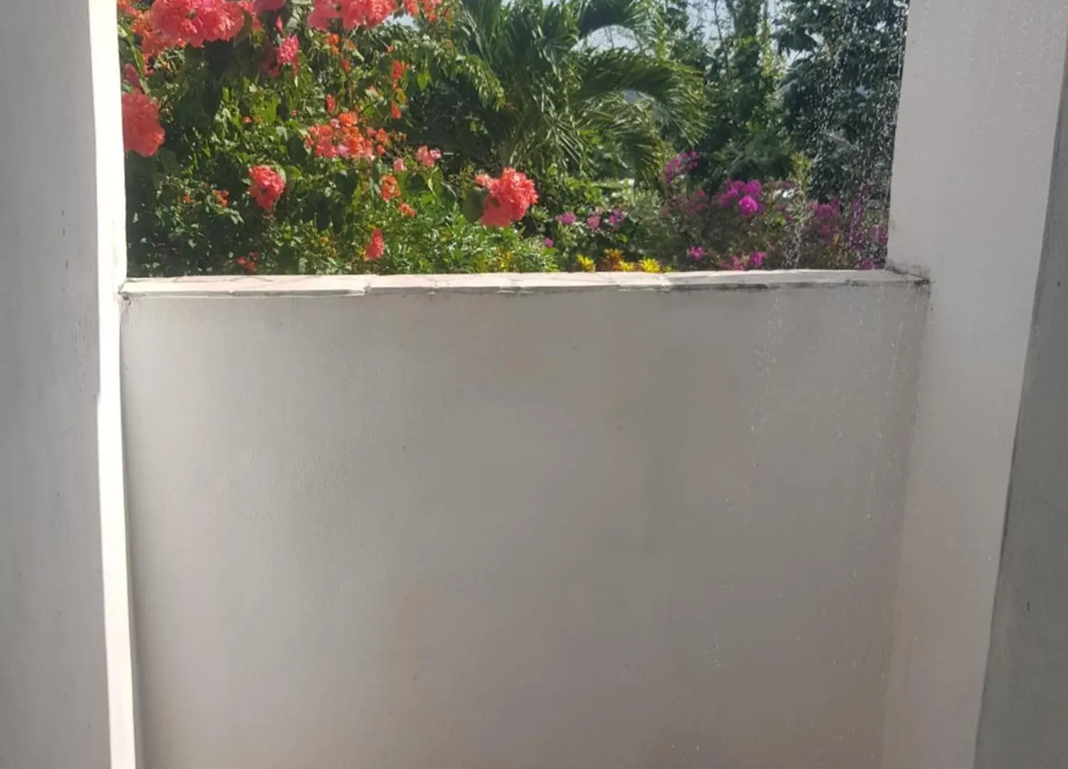 Affittacamere Coyaba Private Hilltop Jungle Retreat Orange Bay Giamaica